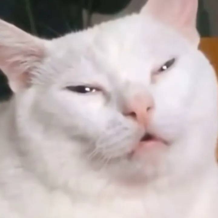 @001.mb TikTok