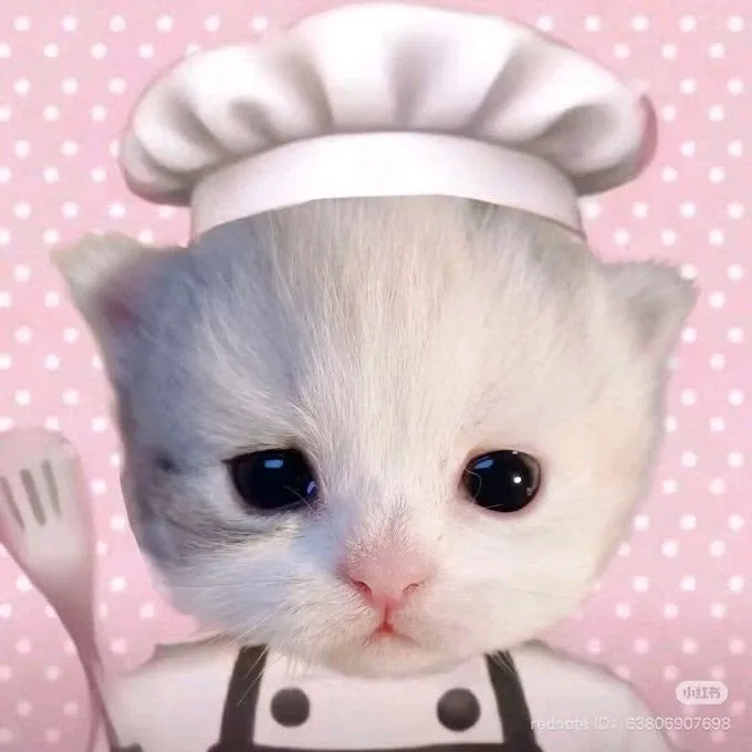 @00chaeyupii TikTok