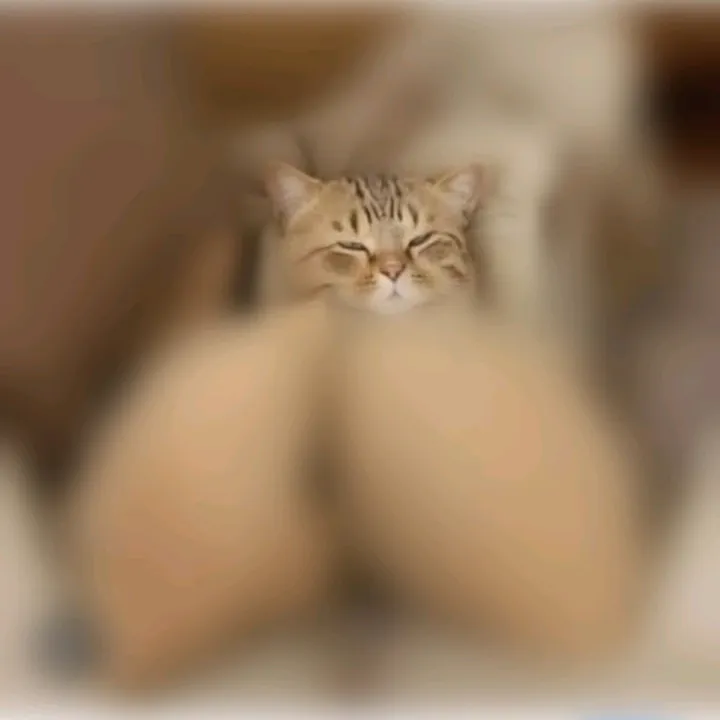 @2a6.xx TikTok