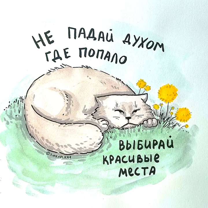 @_biblio_maniac TikTok