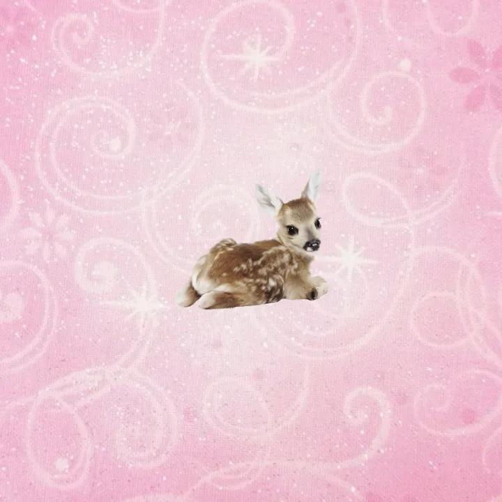 @alicorn.lace TikTok