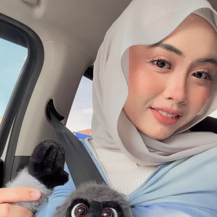 @anniessleh TikTok