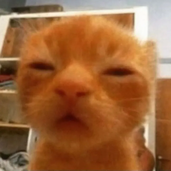 @apu.jeruruk TikTok