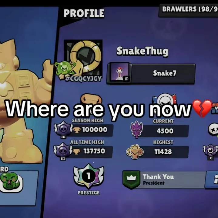 @asha.brawlstars TikTok