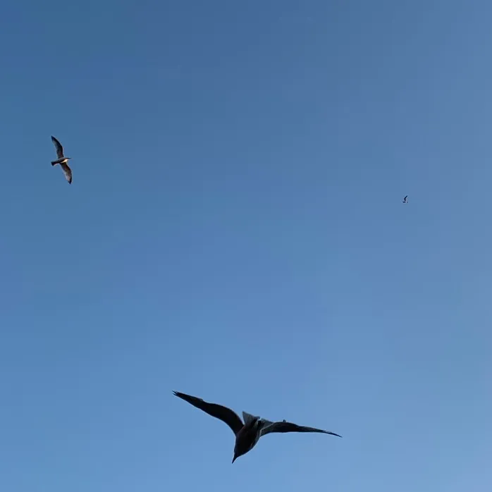 @bot0l_ TikTok