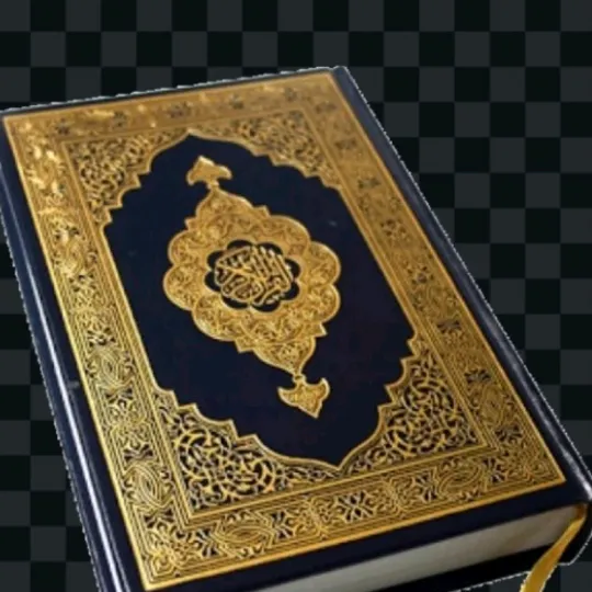@cokun014 TikTok