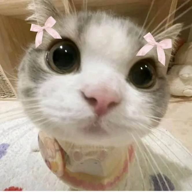 @e_lie23 TikTok