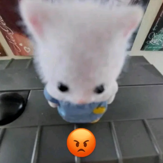 @epepmabaranjai TikTok