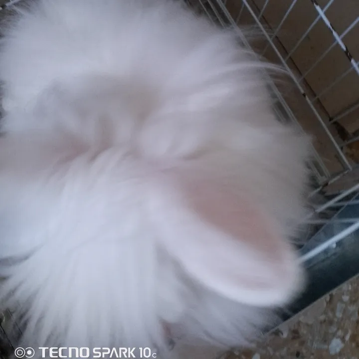 @estefania.jimnez183 TikTok