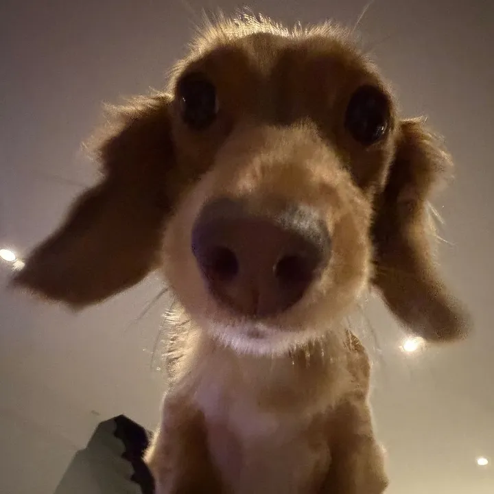 @gabxellass TikTok