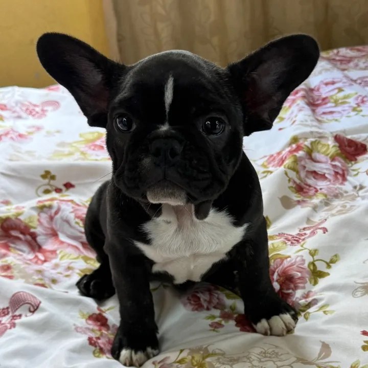 @heygiane_ TikTok