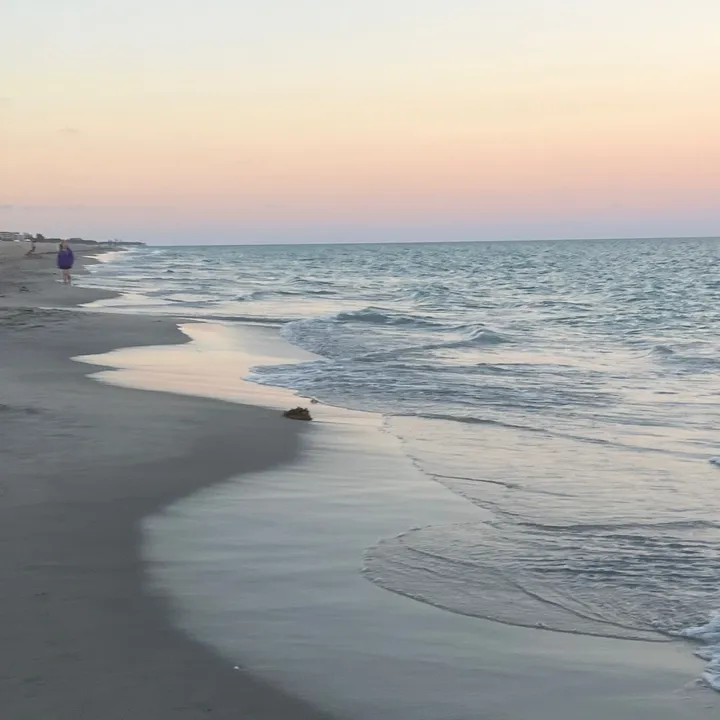 @honestlydesii TikTok
