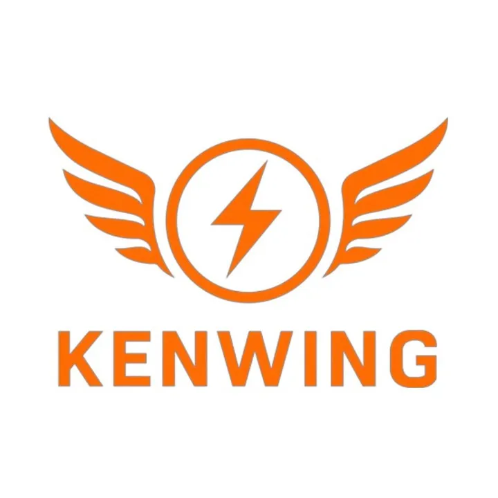 @kenwingelectricscooters TikTok