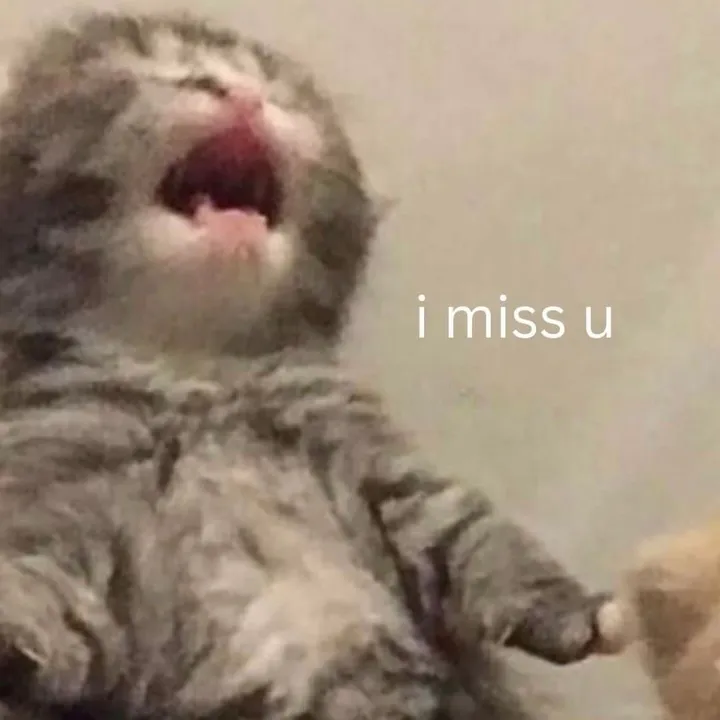 @lindy_0v0 TikTok
