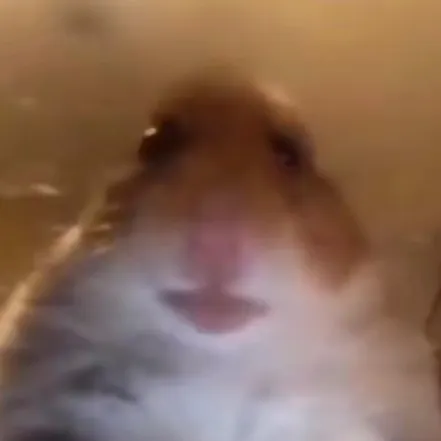 @live41004 TikTok