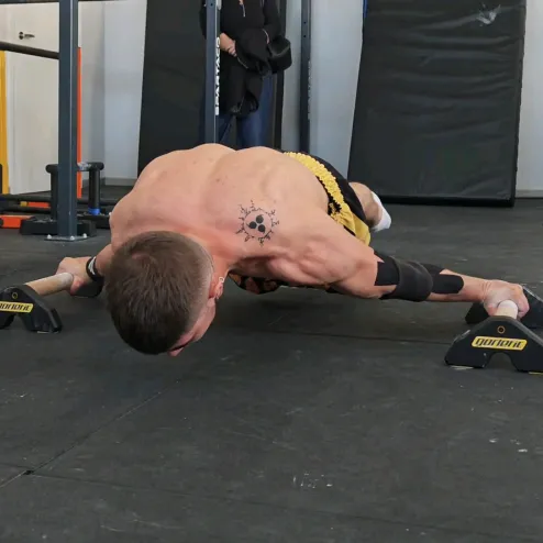 @loriscalisthenics TikTok