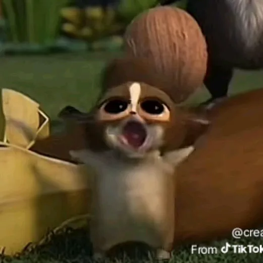 @mas0nstephh TikTok