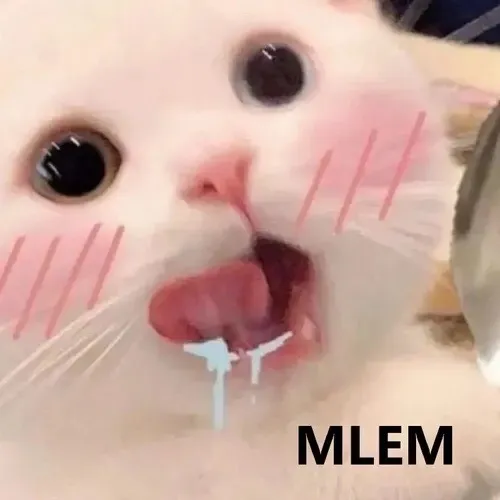 @meow.dancexinh TikTok