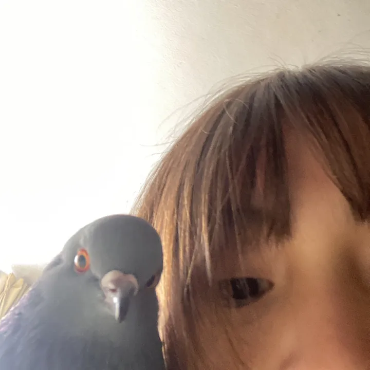 @mooco_ TikTok