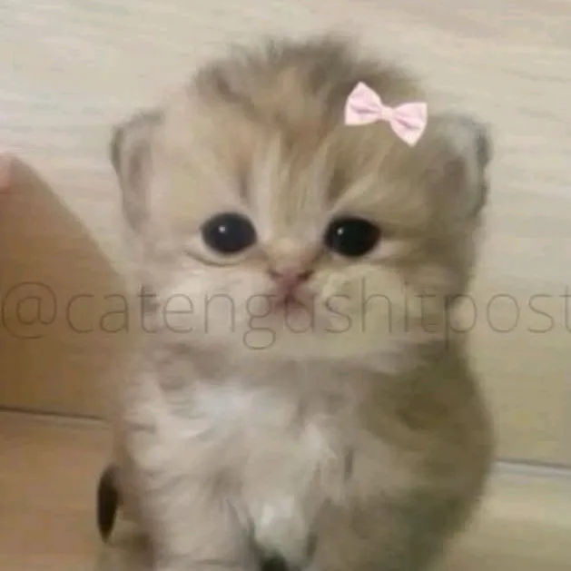 @mthu.sweetie05 TikTok