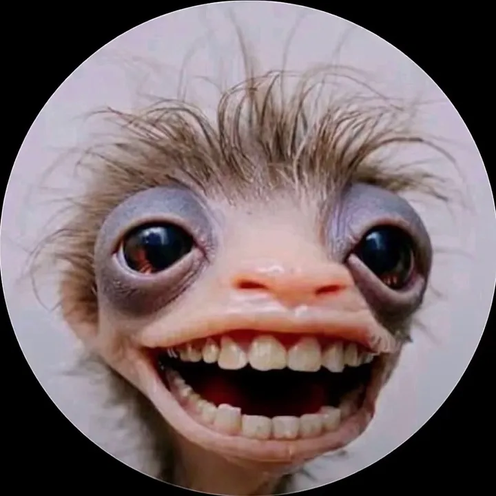 @nataliagcort TikTok