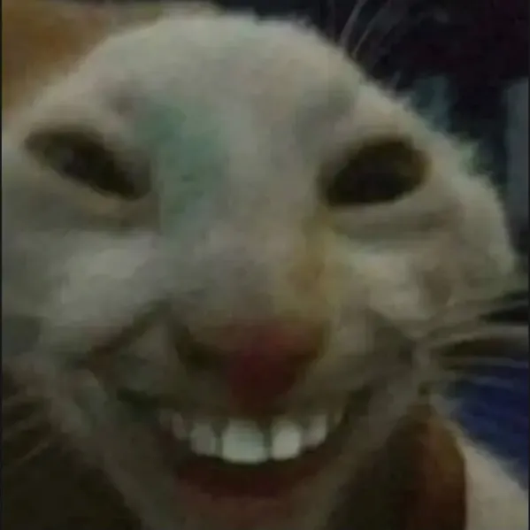 @nesswar_p TikTok