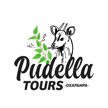 @pudellatours.oxapampa TikTok
