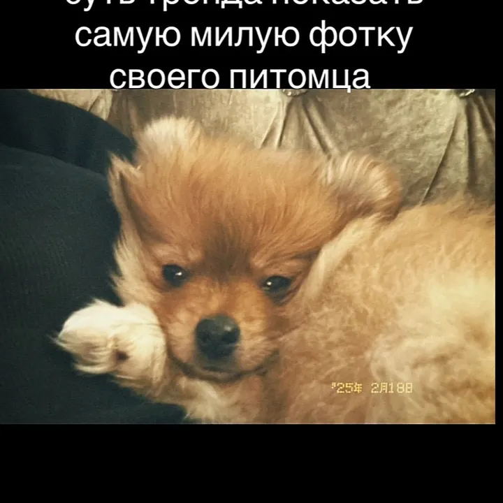 @renat25556 TikTok