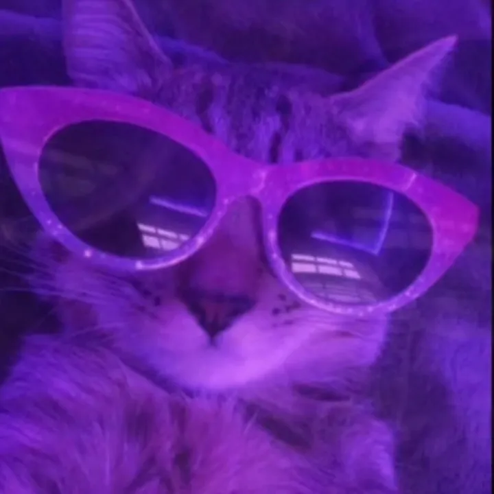 @rob.hala TikTok