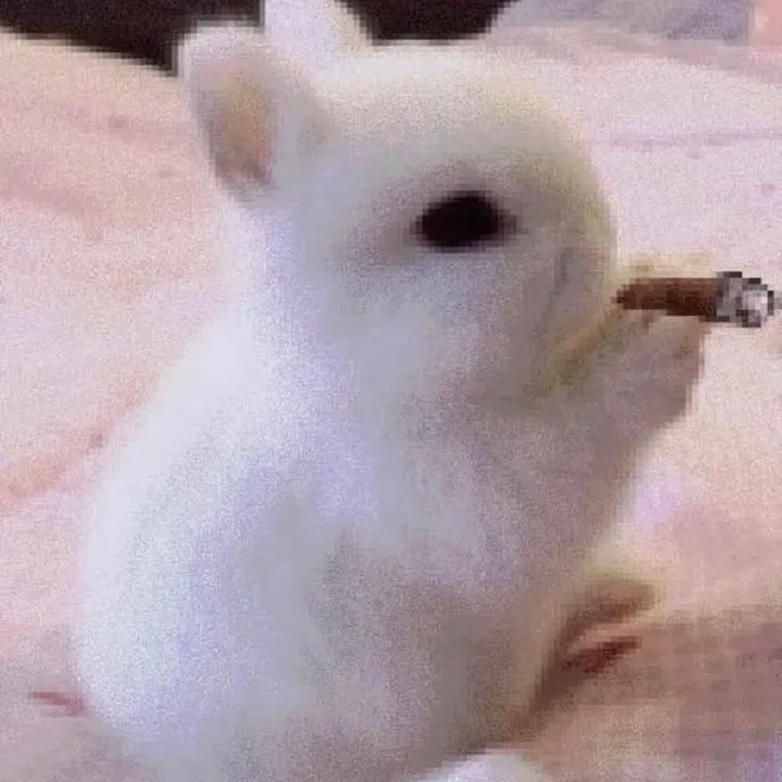 @skinopage1 TikTok