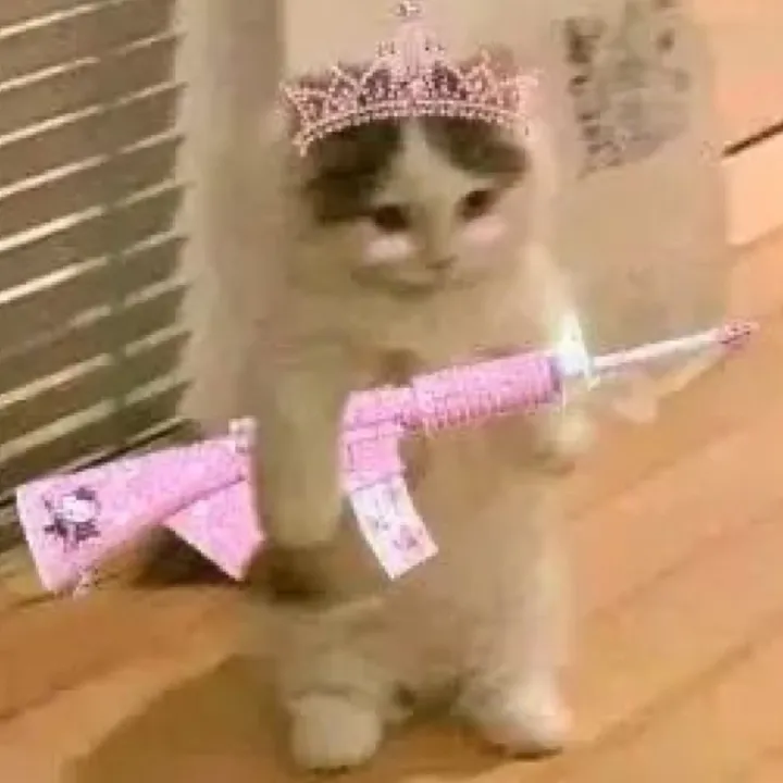 @slushycrunchy TikTok