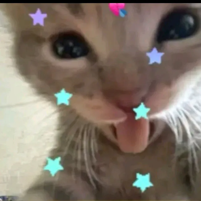 @sofirazo086 TikTok