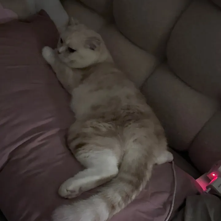 @tiiune_124 TikTok