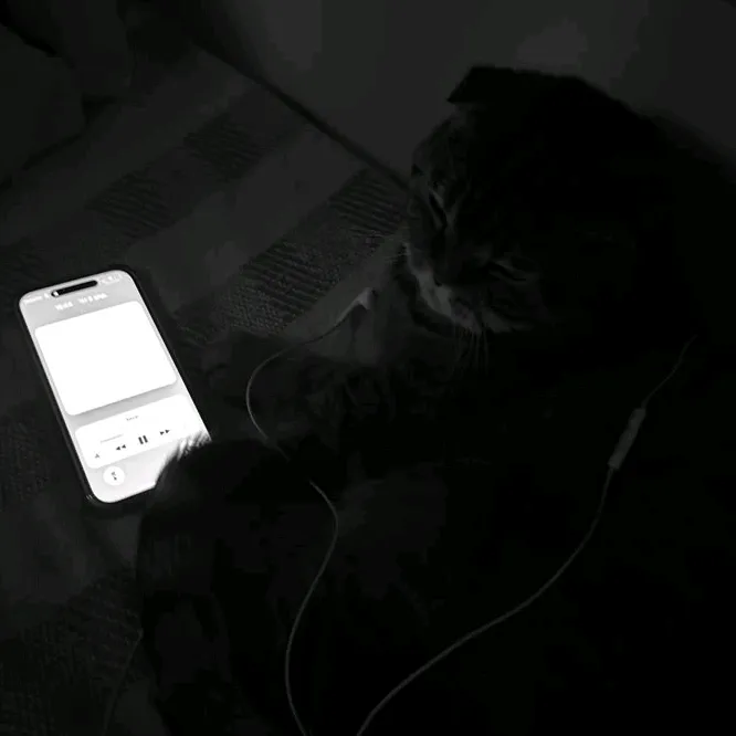 @unknownbitxh18 TikTok