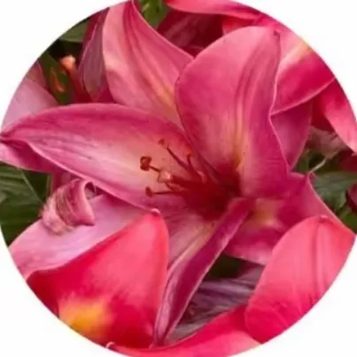 @user0701.77 TikTok