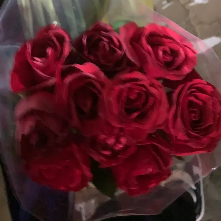 @user2285669540469 TikTok