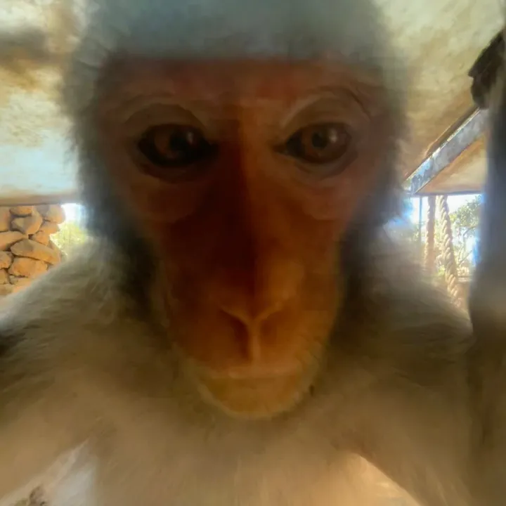 @user67304920 TikTok