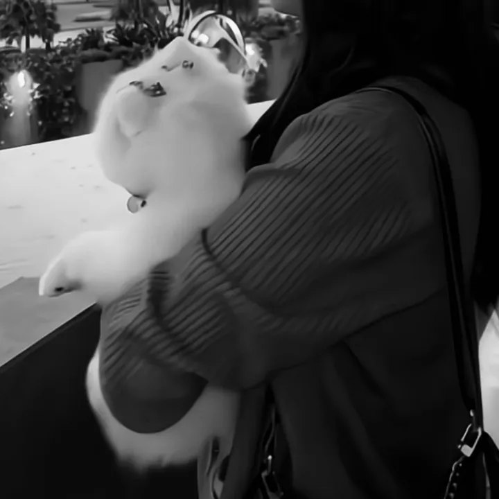 @useraquarius16 TikTok