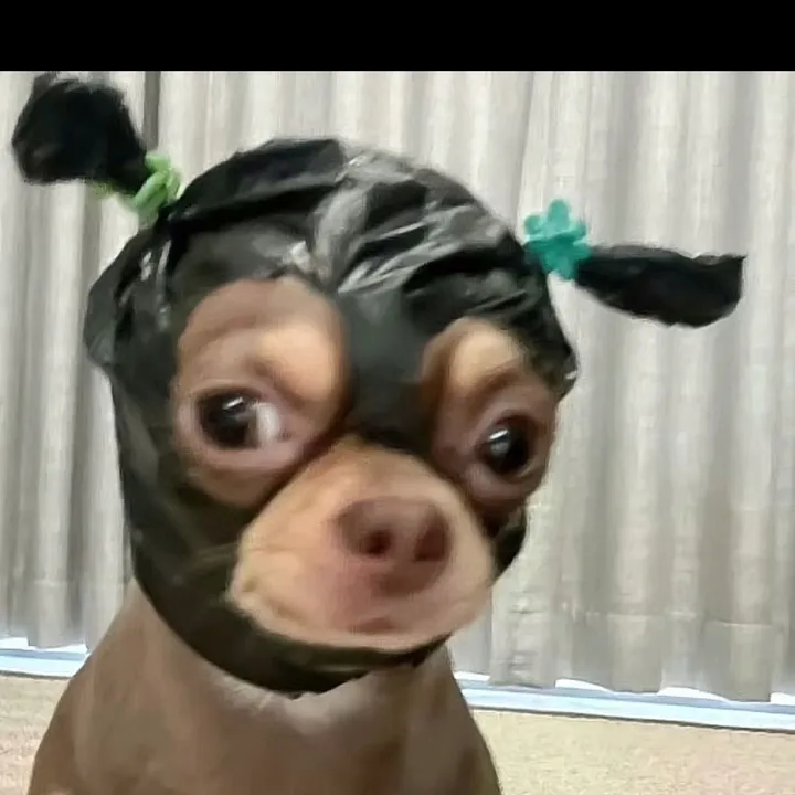 @userawe7zjlbt6 TikTok