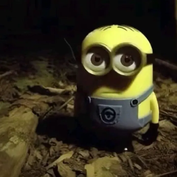 @vaneshssa TikTok