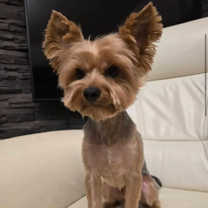 @vik00098 TikTok