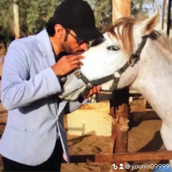 @younis09999 TikTok