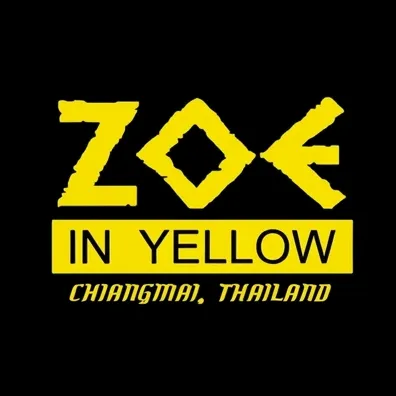 @zoeinyellow_cnx TikTok
