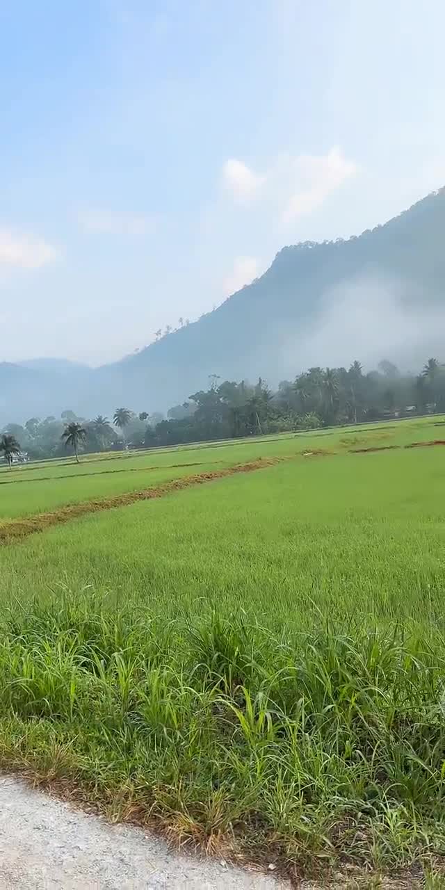 @abgbezza2020 TikTok live recording