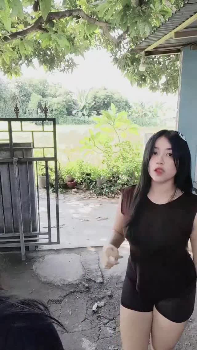 @lia186666