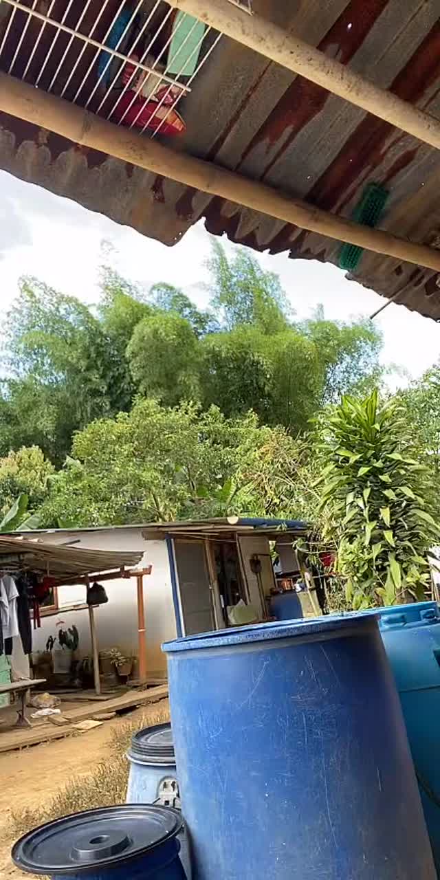 @medinagini0 TikTok live recording