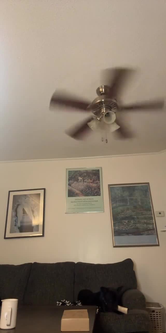 @leafyyem TikTok live recording