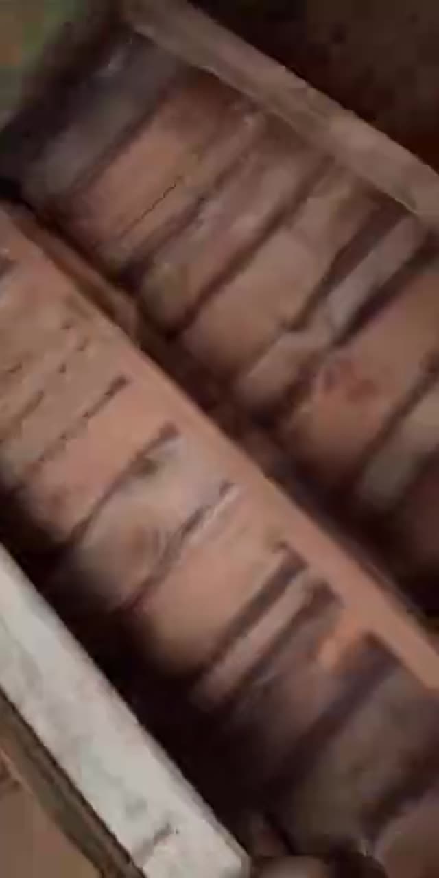 @mariam.mushuqia1 TikTok live recording