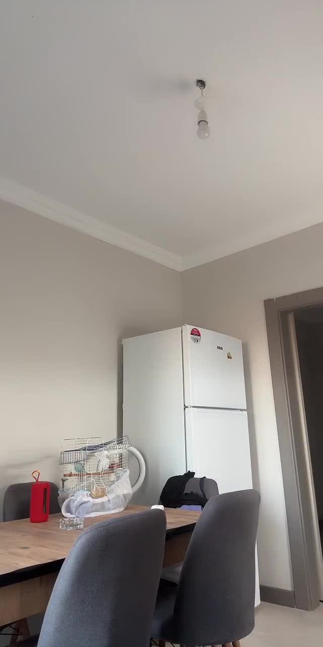 @serpilceylann2727 TikTok live recording
