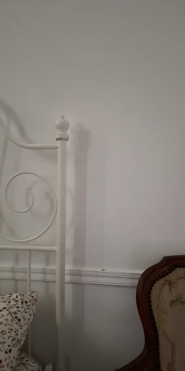 @to.u117 TikTok live recording